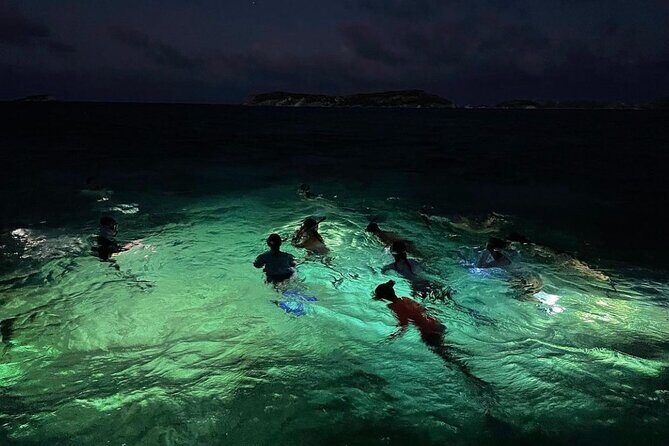 Night-Time Snorkel at TurtleTown with Stars, Lights, and Photos - A Closer Look at the Experience