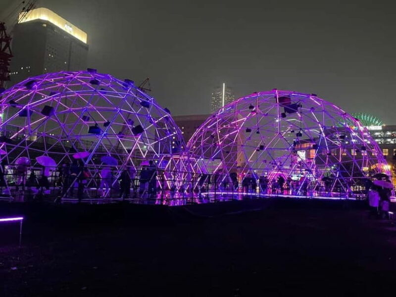 Night Tour Yokohama: Walk & Discover with a Local - Who Should Consider This Tour?