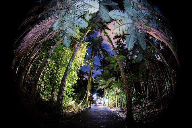 Night Walk in Cairns Botanic Gardens - Let's Go Buggin - The Value of This Experience