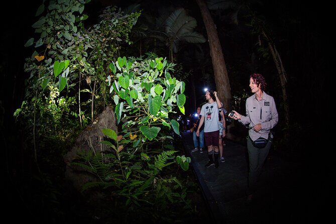 Night Walk in Cairns Botanic Gardens - Let's Go Buggin - The Sum Up