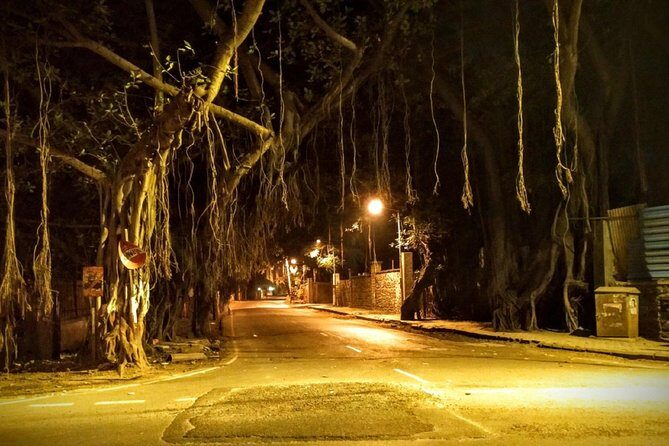 Night Walk Tour Pune - Why Consider the Night Walk Tour Pune?