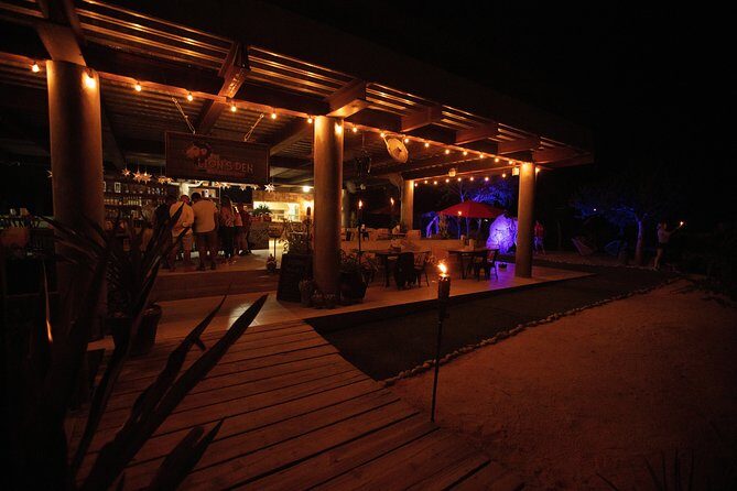 Night Ziplines & UTV Adventure + Mexican Parrillada - Who Will Love This Tour?