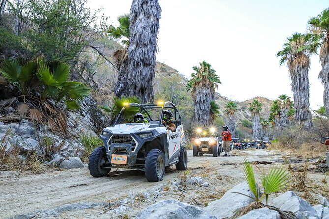 Night Ziplines & UTV Adventure + Mexican Parrillada - FAQ