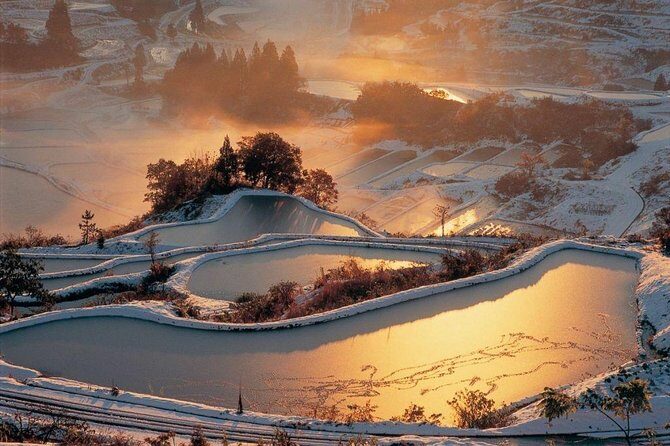 Niigata Full-Day Private Tour with Government-Licensed Guide - Practicalities: What You Should Know