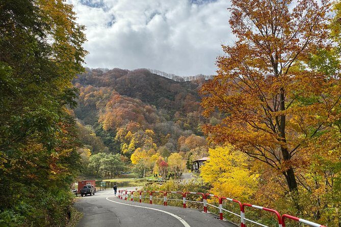 Niigata Private Customizable Full Day Tour - How It Feels to Be on the Tour