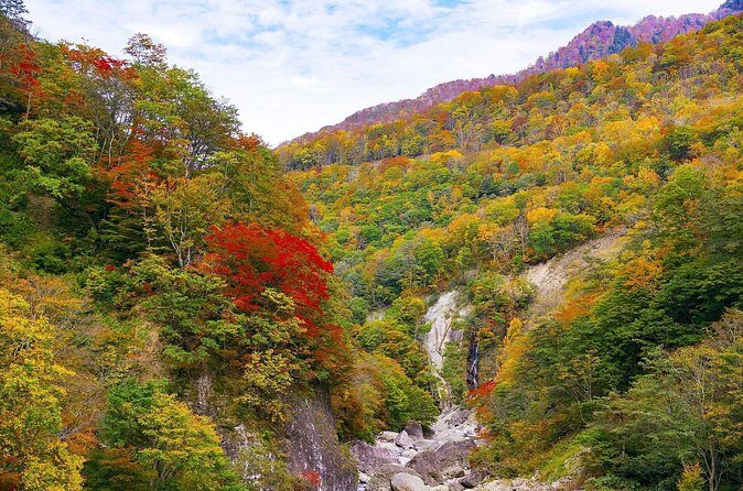 Niigata Private Customizable Full Day Tour - Value and Practicality