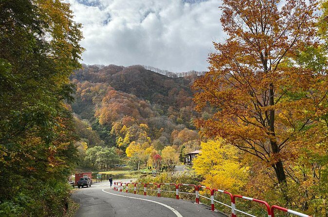 Niigata Private Customizable Full Day Tour - Final Thoughts
