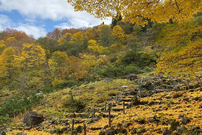Niigata Private Customizable Half Day Tour - Discover Niigata with a Private Customizable Half-Day Tour