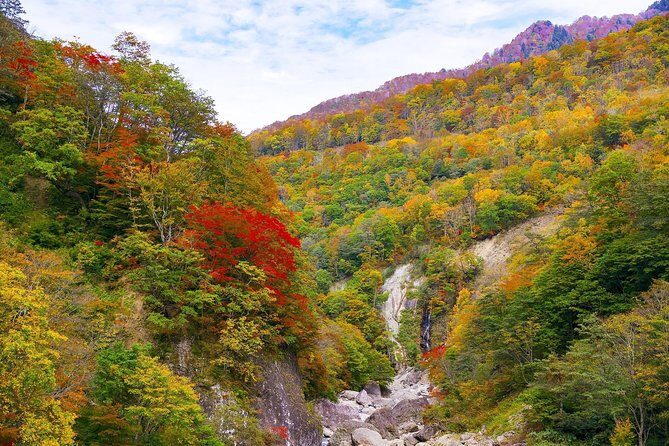 Niigata Private Customizable Half Day Tour - A Closer Look at the Niigata Half-Day Tour