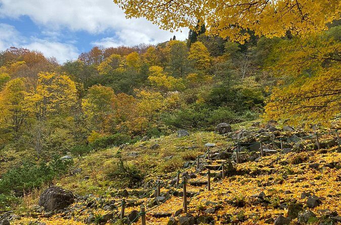 Niigata Private Customizable Half Day Tour - Who Will Love This Tour?
