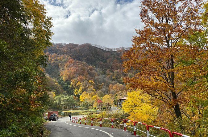 Niigata Private Customizable Half Day Tour - FAQs