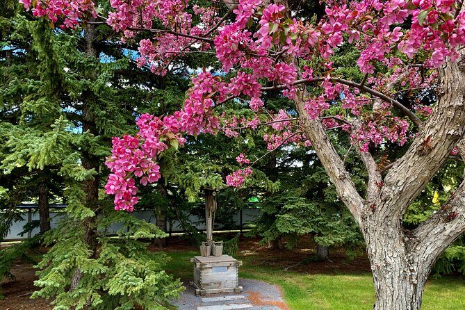 Nikka Yuko Admission (Adults & Children) - Final Thoughts: Who Will Love Nikka Yuko?