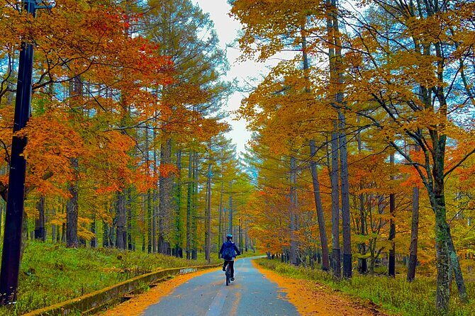Nikko Cycling Tour with Local Guide - Key Points