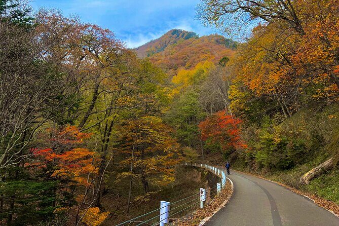 Nikko Cycling Tour with Local Guide - An In-Depth Look at the Nikko Cycling Tour