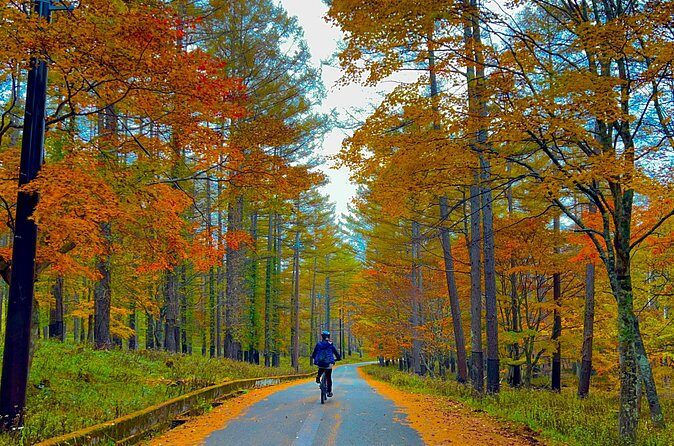 Nikko Cycling Tour with Local Guide - Authenticity and the Experience of a Lifetime