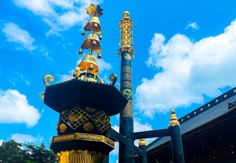 Nikko: Day Tour from Tokyo in Spanish - Spanish - Analyzing the Cost and Value