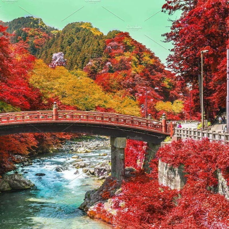 Nikko Day Tour from Tokyo with English Speaking Driver - Who Will Love This Tour?