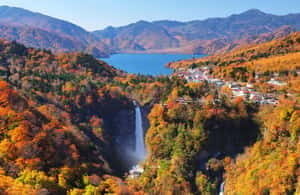 Nikko Day Tour from Tokyo with English Speaking Driver - FAQ