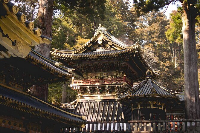 Nikko Day Tour World Heritage & Nature with English speak Driver - What Reviewers Say