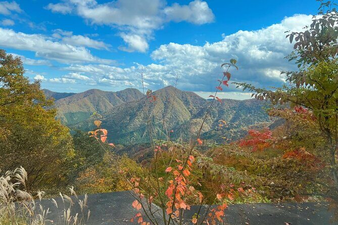 Nikko Guided Cycling Tour with a Local Monk - Final Thoughts: Who Should Consider This Tour?