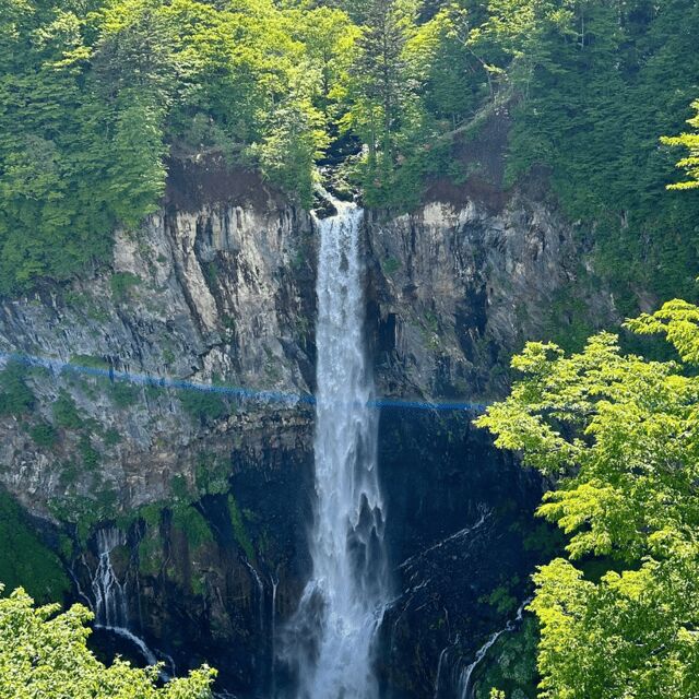 Nikko Heritage & Nature Day Trip from Tokyo - Final Thoughts