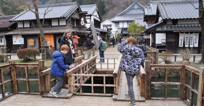 Nikko in Style: Luxury private Day Tour with English guide - Who Is This Tour Best For?