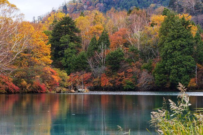 Nikko Private Customizable Half Day Tour - Final Thoughts