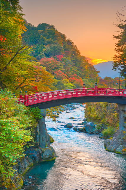 Nikko Private Day Trip with English Driver-Guide From Tokyo - The Experience: What to Expect