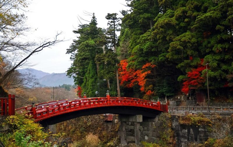 Nikko: Private Sightseeing Day Tour with Driver & Transport - What’s Included and What’s Not