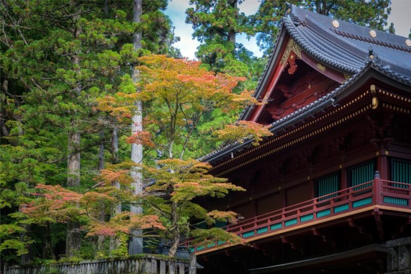 Nikko: Private Sightseeing Day Tour with Driver & Transport - Final Thoughts