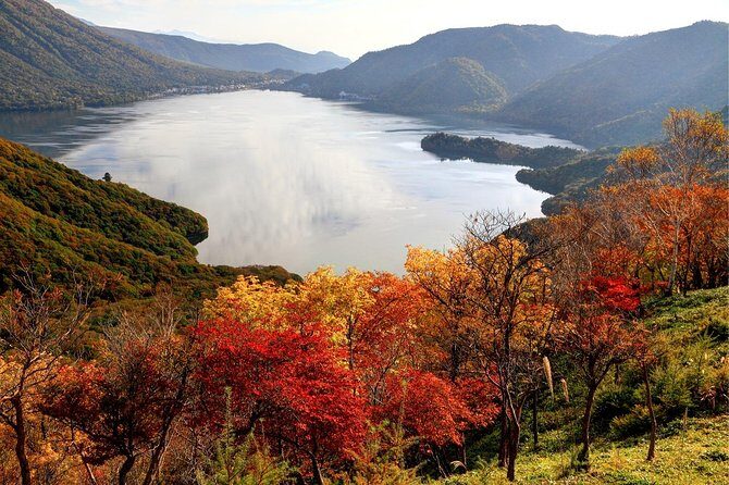 Nikko private tour with English speaking guide - Who is This Tour Best For?