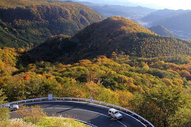 Nikko private tour with English speaking guide - FAQ