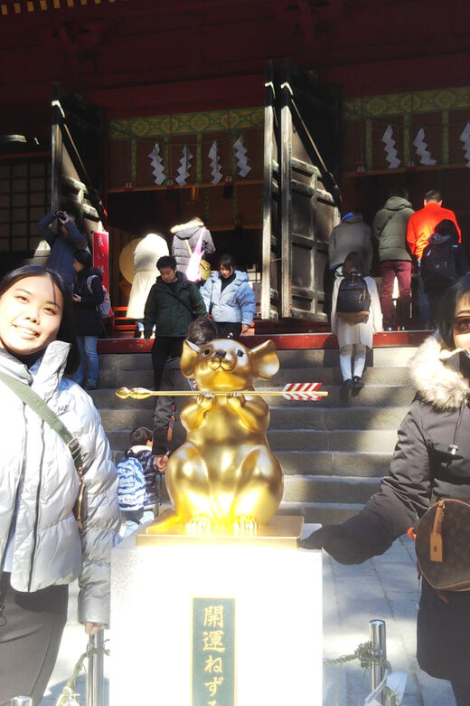 Nikko: Private Walking Tour with Local Guide - Who Should Consider This Tour