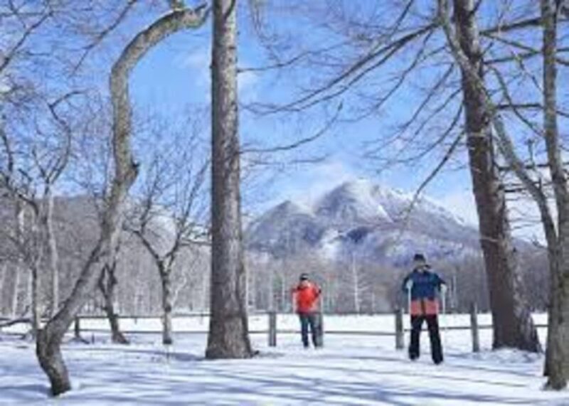 Nikko World Heritage Tour With English Drivers - Key Points