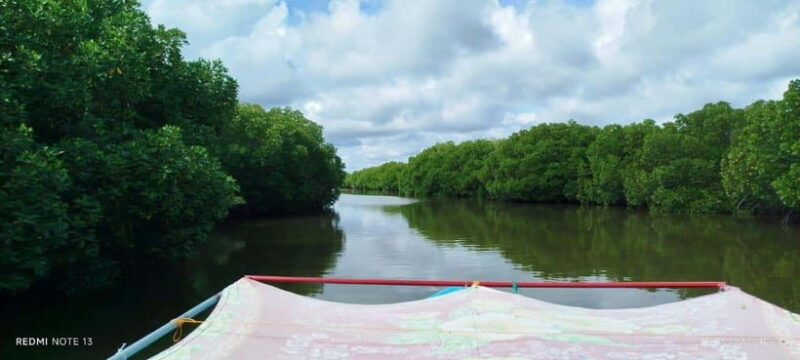 Nilaveli: Lagoon Boat Safari with Mangrove Exploration - Exploring Nilaveli’s Lagoon: A Natural Sanctuary