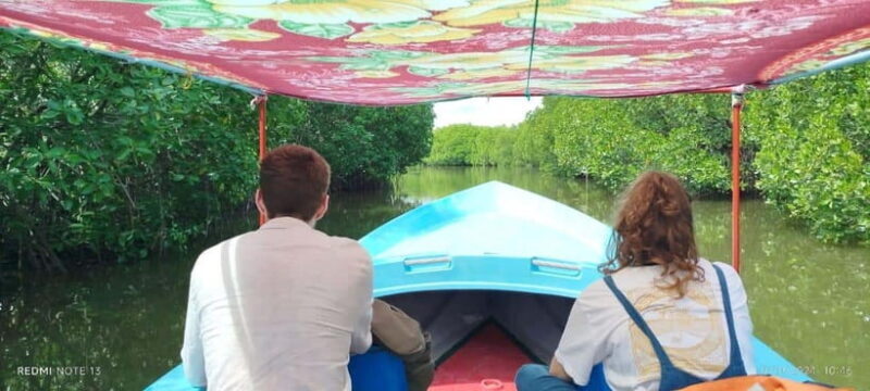 Nilaveli: Lagoon Boat Safari with Mangrove Exploration - The Itinerary in Detail