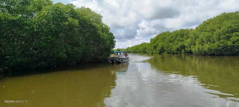 Nilaveli: Lagoon Boat Safari with Mangrove Exploration - Actual Experiences from Travelers