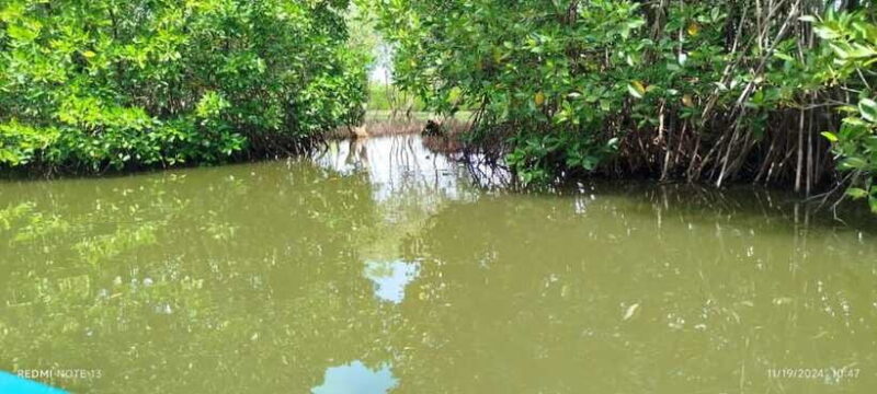 Nilaveli: Lagoon Boat Safari with Mangrove Exploration - Final Thoughts: Who Will Love This?