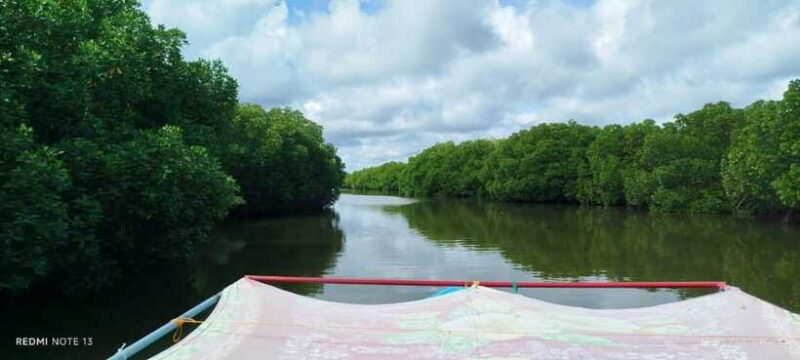 Nilaveli: Lagoon Boat Safari with Mangrove Exploration - FAQ