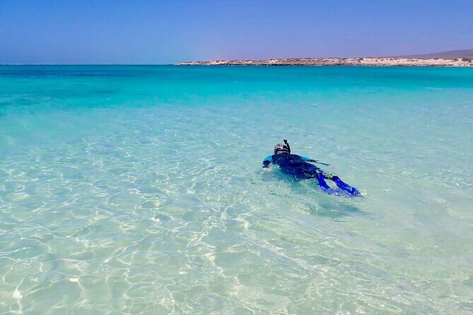 Ningaloo In A Full day Hike and Snorkel Tour - What’s Included and What to Bring