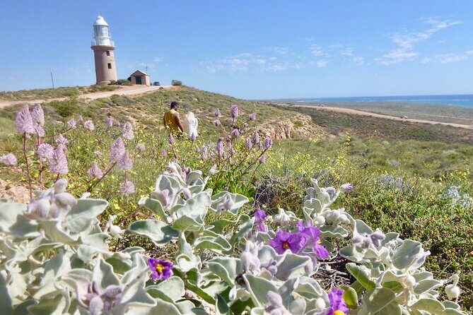 Ningaloo In A Full day Hike and Snorkel Tour - The Value of This Tour