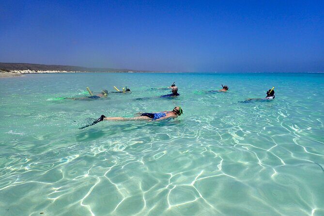 Ningaloo Reef Snorkel Adventure - Exploring the Ningaloo Reef Snorkel Adventure in Detail