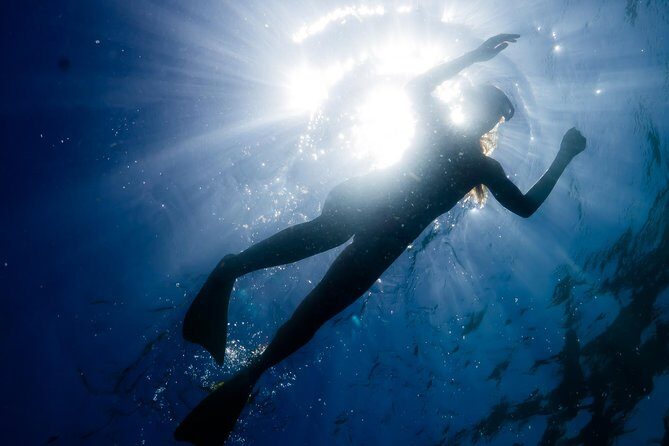 Ningaloo Reef Snorkel and Wildlife Adventure - Key Points