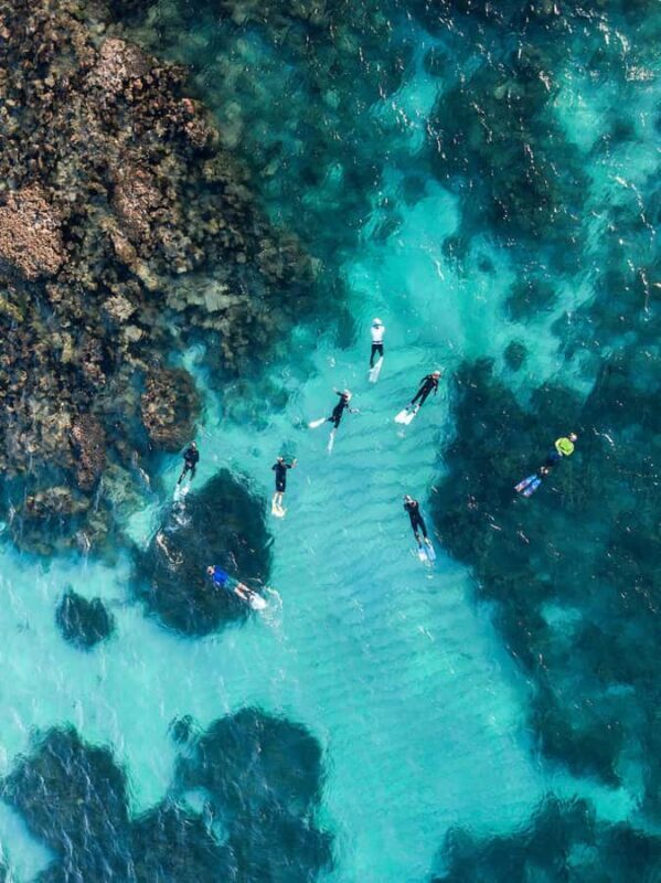 Ningaloo: Snorkelling & Coral Viewing Semi Submersible Tour - The Value Proposition
