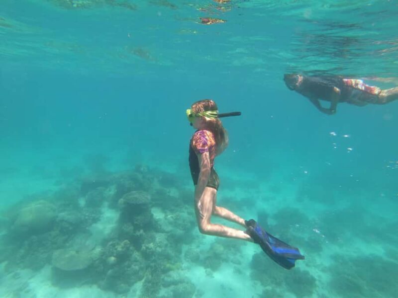 Ningaloo: Snorkelling & Coral Viewing Semi Submersible Tour - Practical Tips for Your Tour