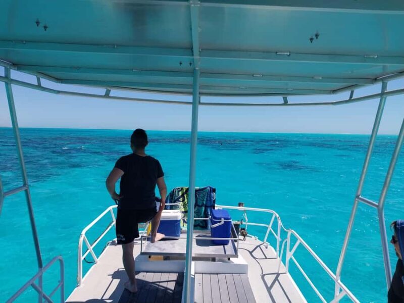 Ningaloo: Snorkelling & Coral Viewing Semi Submersible Tour - What Travelers Say