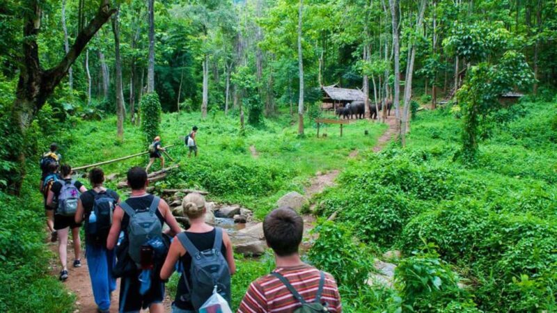 Ninh Binh: 2Day Trang An, Bai Dinh, Cuc Phuong National Park - Key Points