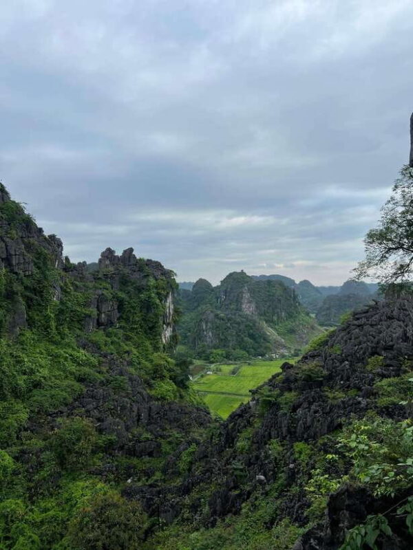 Ninh Binh Bich Dong Pagoda, Hoa Lu, Thung Nham Bird Park - Who Will Appreciate This Tour?