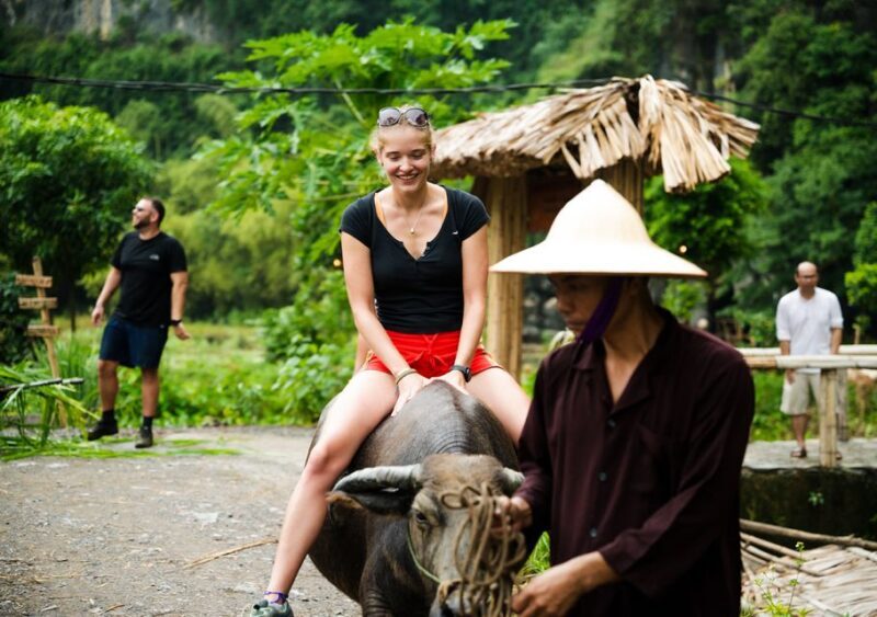 Ninh Binh: Buffalo riding, rice planting group tour - Who Will Love This Tour?