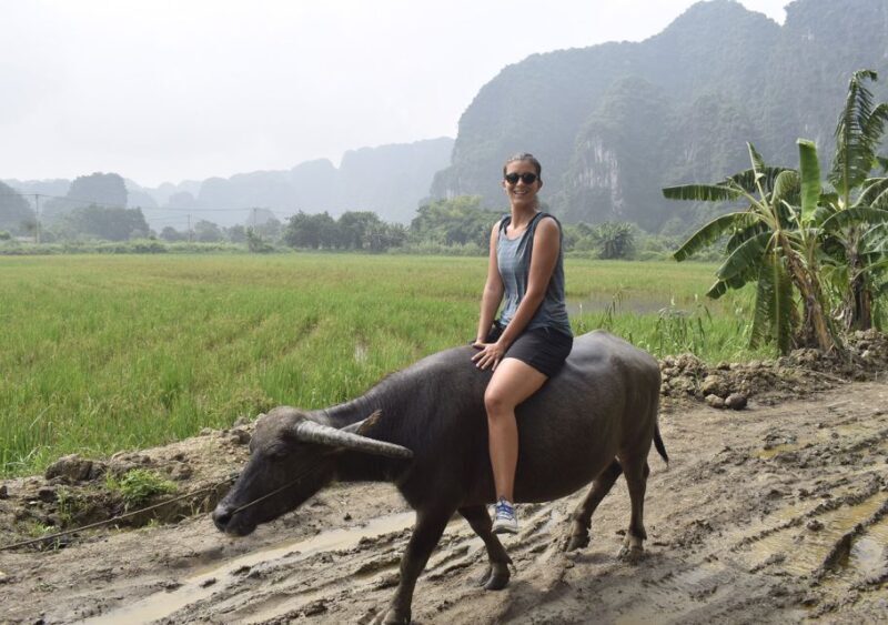 Ninh Binh: Buffalo riding, rice planting group tour - FAQ